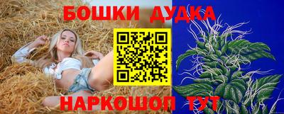 гашик Гай