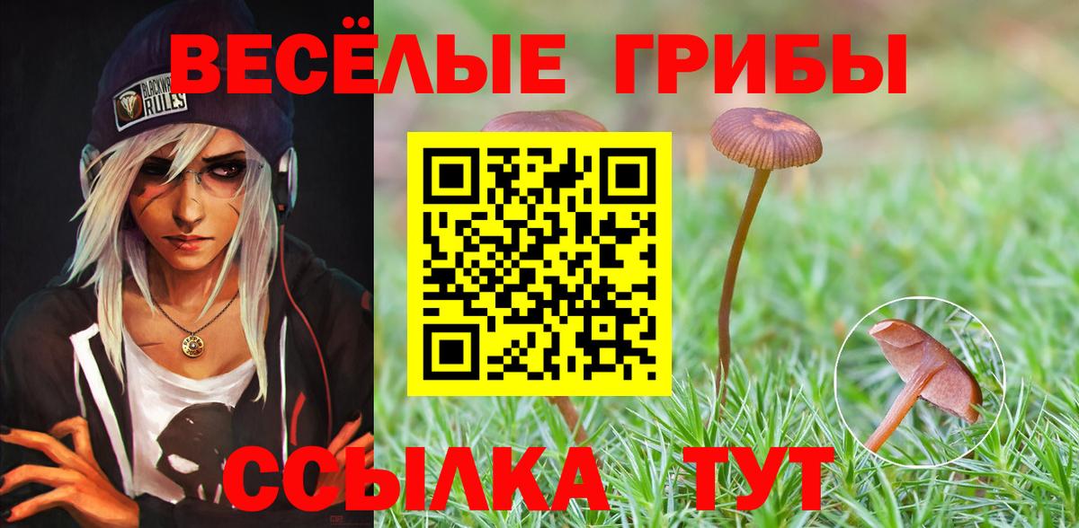Лесосибирск  Галлюциногенные грибы Magic Shrooms  Вход с VPN 